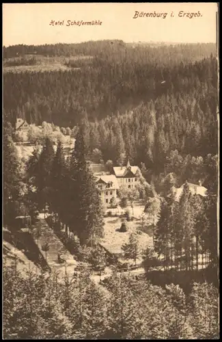 Waldbärenburg-Altenberg (Erzgebirge) Fernsicht auf Schäfermühle Hotel 1914