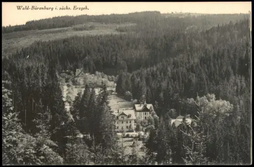 Ansichtskarte Waldbärenburg-Altenberg (Erzgebirge) Blick auf die Stadt 1914