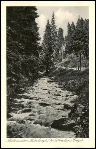 Ansichtskarte Olbernhau Partie aus dem Natzschungtal 1924