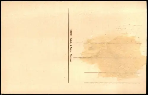 Ansichtskarte Riesa Stadtpark Stadtmauer Poetenweg 1914