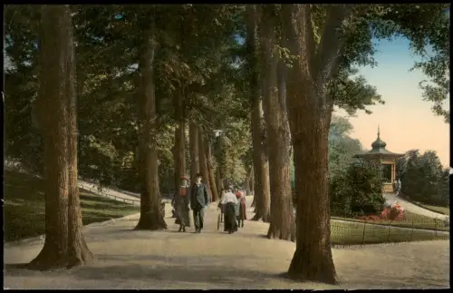 Ansichtskarte Freiberg (Sachsen) Im Albertpark Weg Pavillon 1914