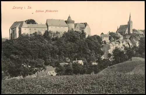 Ansichtskarte Leisnig Blick auf Schloss Mildenstein 1914