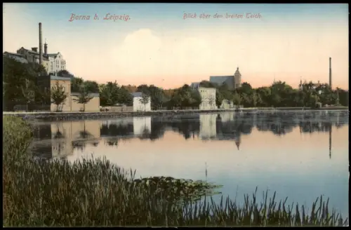 Ansichtskarte Borna Blick über den breiten Teich 1914