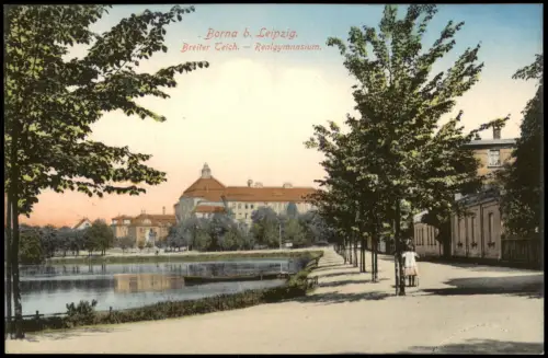 Ansichtskarte Borna Breiter Teich - Realgymnasium 1914