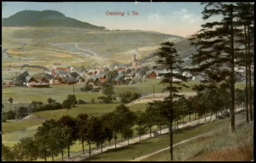 Ansichtskarte Geising-Altenberg (Erzgebirge) Allee bei der Stadt 1914