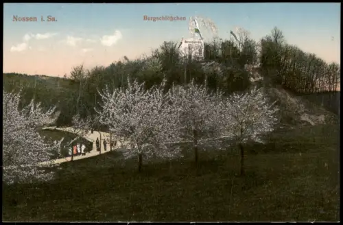 Ansichtskarte Nossen Baumblüte Bergschlößchen 1923