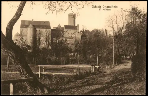 Ansichtskarte Gnandstein-Kohren-Sahlis Burg Gnandstein - Waldweg 1924