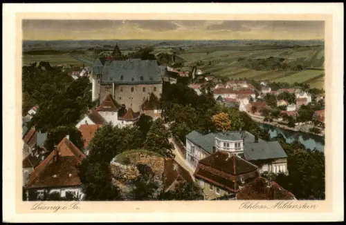 Ansichtskarte Leisnig Blick auf Schloss Mildenstein 1925