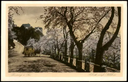 Ansichtskarte Leisnig Straße am Schloß Kutsche Baumblüte 1925