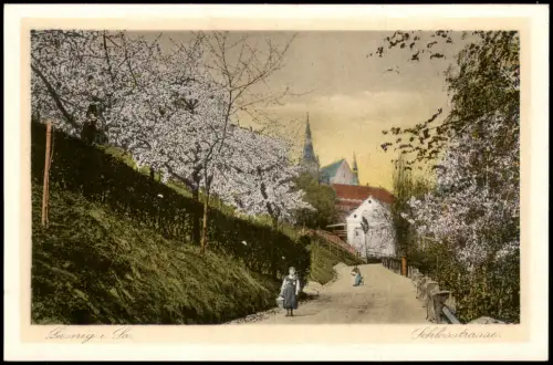Ansichtskarte Leisnig Schloßstraße Baumblüte 1925