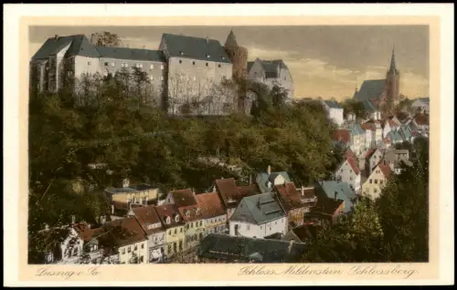 Ansichtskarte Leisnig Schloss Mildenstein Schlossberg 1925
