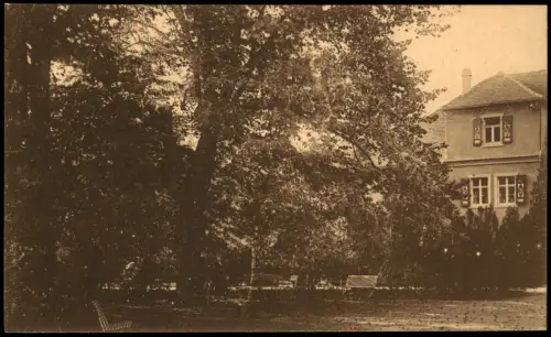 Ansichtskarte Coswig Sachsen Haus die Alten Linden Heilstätte Lindenhof 1914