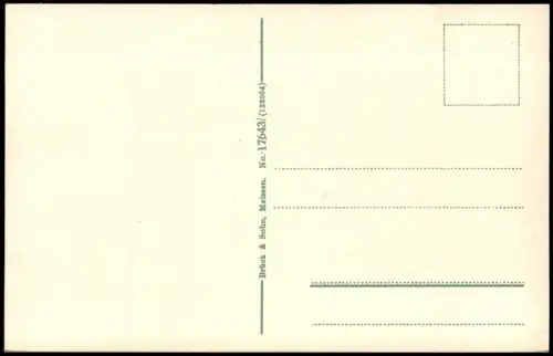 Postcard Marienbad Mariánské Lázně Stadtblick 1914
