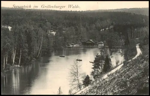 Ansichtskarte Dorfhain-Tharandt Seerenteich Grillenburger Wald Anlagen 1922