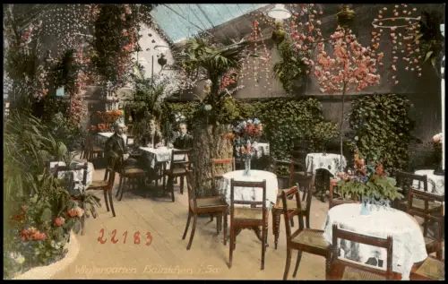 Ansichtskarte Hainichen Wintergarten - Innenansicht 1914