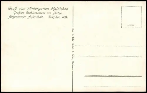 Ansichtskarte Hainichen Wintergarten - Innenansicht 1914