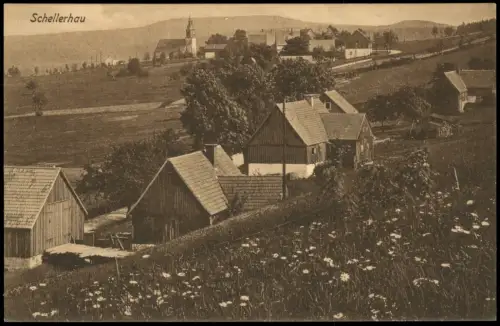 Ansichtskarte Schellerhau-Altenberg (Erzgebirge) Stadtpartie 1923