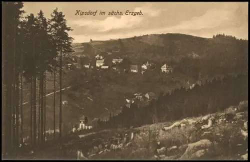 Ansichtskarte Kipsdorf-Altenberg (Erzgebirge) Stadtpartie 1923