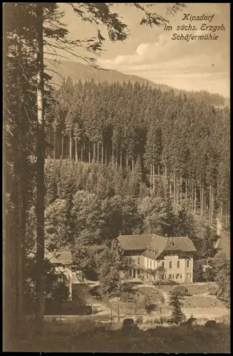 Waldbärenburg-Altenberg (Erzgebirge) Blick auf die Schäfermühle 1923