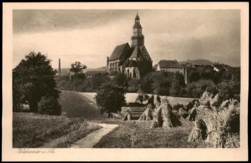 Ansichtskarte Kamenz Kamjenc Felder mit Garben Hauptkirche Marienkirche 1924