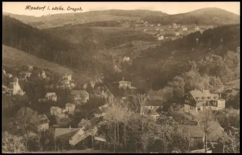 Ansichtskarte Kipsdorf-Altenberg (Erzgebirge) Stadtblick 1913