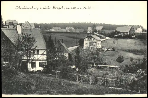 Bärenburg-Altenberg (Erzgebirge) Stadtpartie Fachwerkhäuser 1914