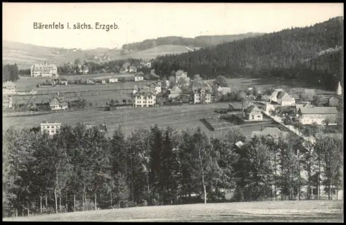 Ansichtskarte Bärenfels (Erzgebirge)-Altenberg (Erzgebirge) Stadtblick 1914