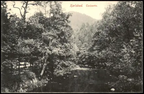 Postcard Karlsbad Karlovy Vary Teplpartie 1914