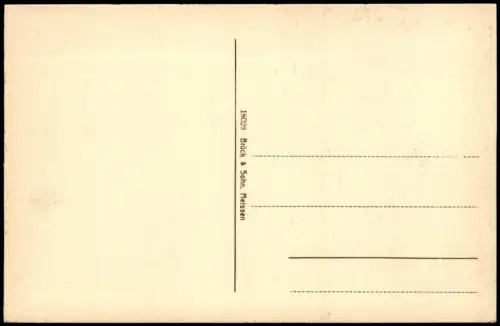 Postcard Karlsbad Karlovy Vary Teplpartie 1914