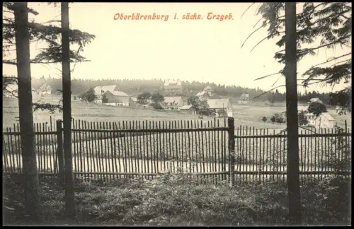 Oberbärenburg-Altenberg (Erzgebirge) Blick vom Zaun auf die Stadt 1914