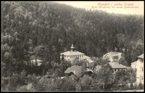 Kipsdorf-Altenberg (Erzgebirge) Hotel Fürstenhof mit seinen Dependancen. 1914