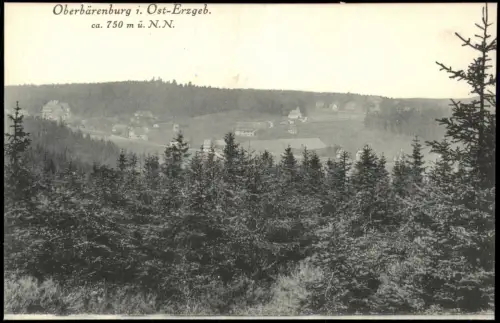 Oberbärenburg-Altenberg (Erzgebirge) Berghotel u. Kurhaus „FRIEDRICHSHÖHE“ 1914