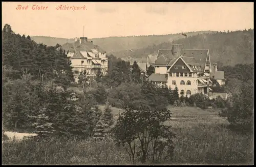 Ansichtskarte Bad Elster Häuser am Albertpark 1914
