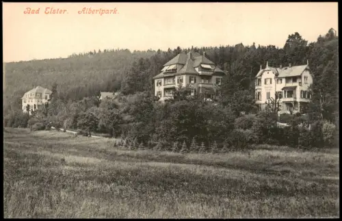 Ansichtskarte Bad Elster Stadtvillen im Albertpark 1914