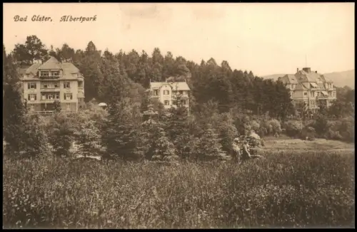 Ansichtskarte Bad Elster Stadtvillen Tannen Albertpark 1914