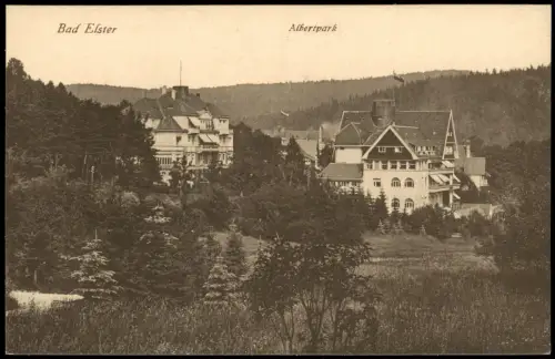 Ansichtskarte Bad Elster Gebäude im Albertpark 1914