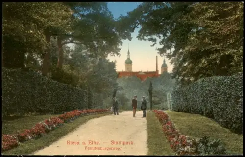 Ansichtskarte Riesa Stadtpark Männer Brandenburgerweg 1914