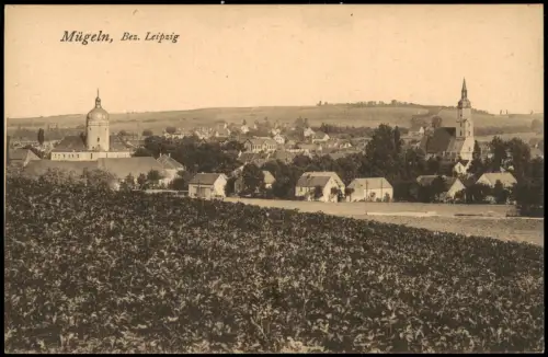 Ansichtskarte Mügeln Partie an der Stadt 1920