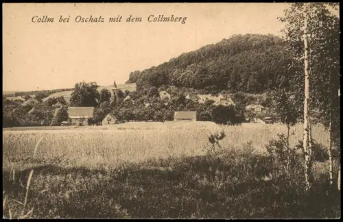 Ansichtskarte Collm-Wermsdorf Collmberg Stadt Getreidefeld 1920