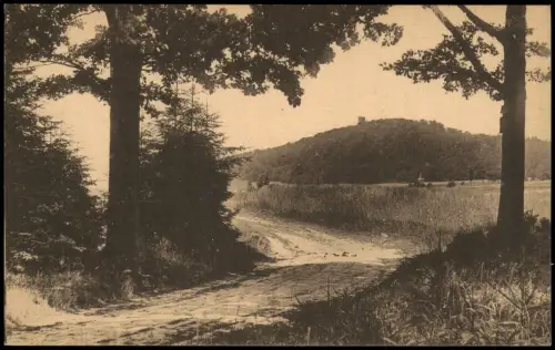 Ansichtskarte Collm-Wermsdorf Waldweg Collmberg 1920