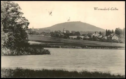Ansichtskarte Collm-Wermsdorf Collmberg und Stadt von See gesehen 1920