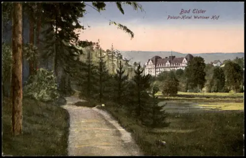 Ansichtskarte Bad Elster Partie am Palast-Hotel Wettiner Hof 1910