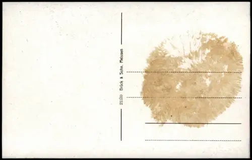 Ansichtskarte Bad Elster Ruderer auf dem Gondelteich 1920