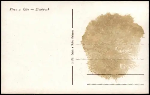 Ansichtskarte Riesa Stadtpark 1925