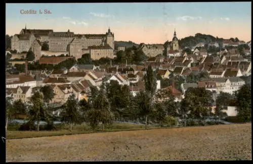 Ansichtskarte Colditz Schloß und Stadt 1924