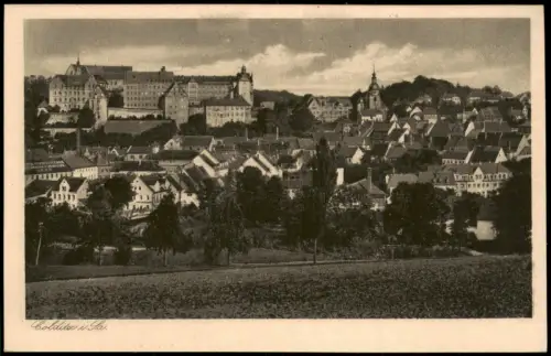 Ansichtskarte Colditz Blick über die Stadt auf das Schloß 1924