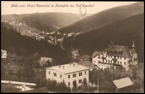Bärenfels-Altenberg (Erzgebirge) Blick vom Hotel Kaiserhof 1923
