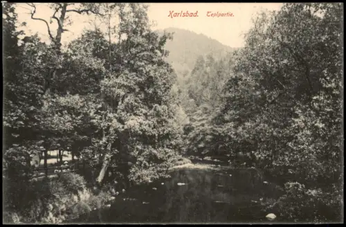 Postcard Karlsbad Karlovy Vary Teplpartie 1914