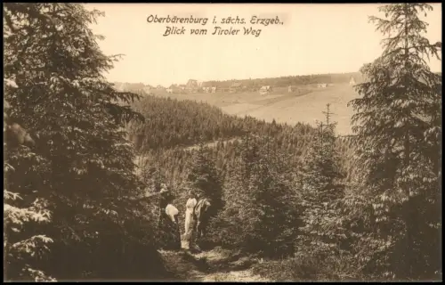 Ansichtskarte Oberbärenburg-Altenberg (Erzgebirge) Blick vom Tiroler Weg 1914