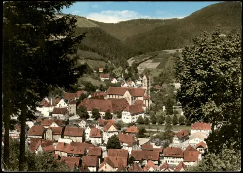 Ansichtskarte Alpirsbach Panorama Teilansicht 1970